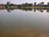 Sagar Digi Pond - Cooch Behar